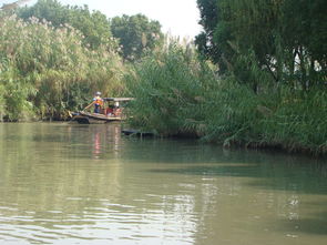 來常熟沙家浜風(fēng)景區(qū)游玩,住錦江之星常熟招商城店2人1晚今年國慶中秋連一塊,高速堵車, 驢媽媽點評