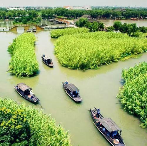 春色莫辜負(fù),常熟兩大景點,沙家浜VS尚湖,哪個更值得一去?