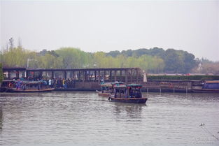 蘇州博越車友會(huì)常熟分會(huì)沙家浜踏青游 春風(fēng)十里，車友情深