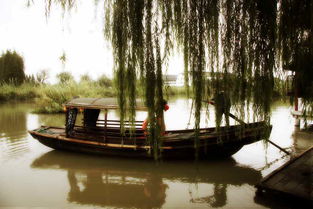 沙家浜一日游 沉浸紅色經典，盡享水鄉風情