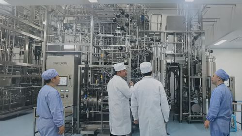 天鶩科技x金賽藥業(yè) 全球首款經(jīng)大模型設計實現(xiàn)5000升工業(yè)化生產(chǎn)的蛋白質(zhì)產(chǎn)品落地